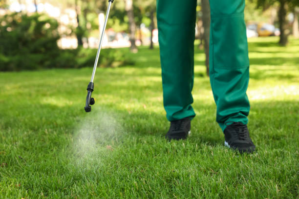 Best Affordable Pest Control Services  in Fort Clark Springs, TX