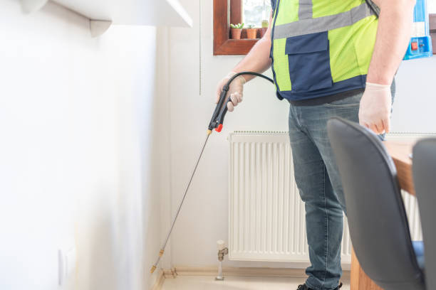 Wasp Removal Services in Fort Clark Springs, TX