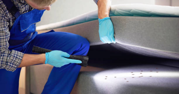 Best Flea Control Services  in Fort Clark Springs, TX