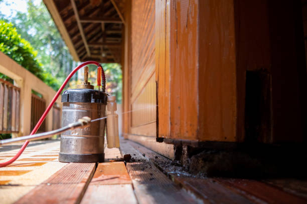 Best Pest Prevention Services  in Fort Clark Springs, TX